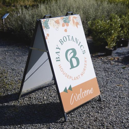 Bay Botanics Marketstall @ Little Big Markets Mt Maunganui