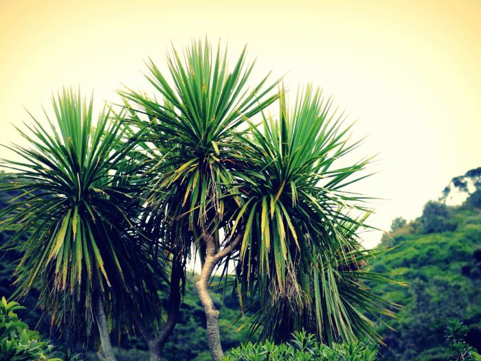 The Perfect Planting Window for Natives