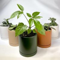 Pots