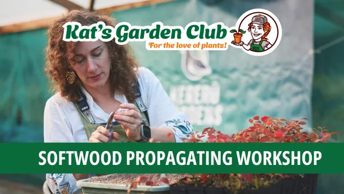 Kat's Garden Club - Softwood Propagating Workshop