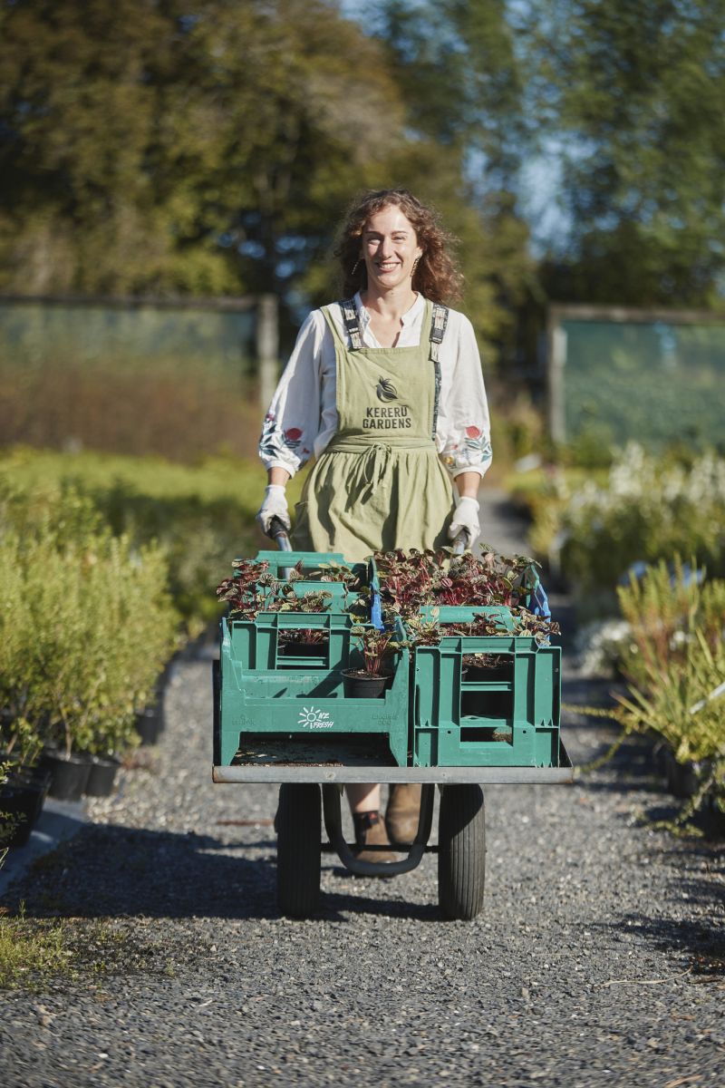 The Perfect Planting Window for Natives