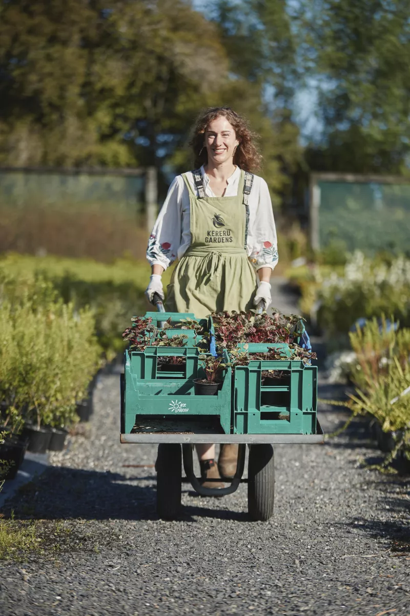 The Perfect Planting Window for Natives