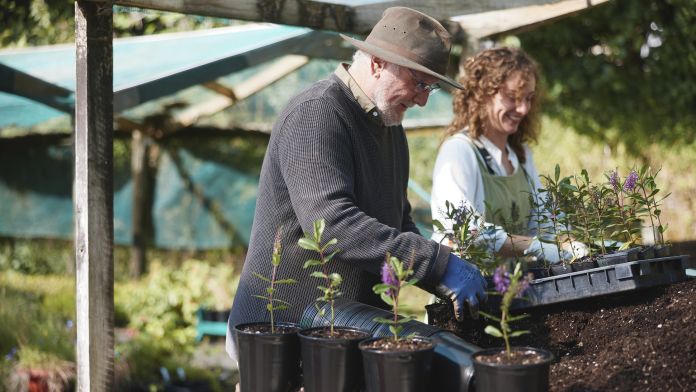 Potting Out