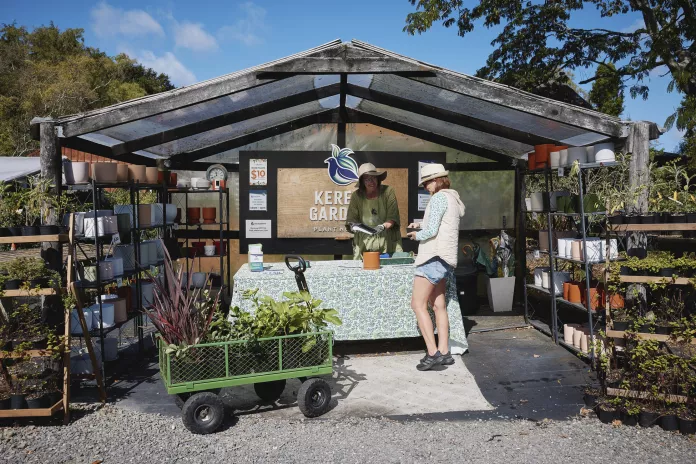 All Plants $7.50