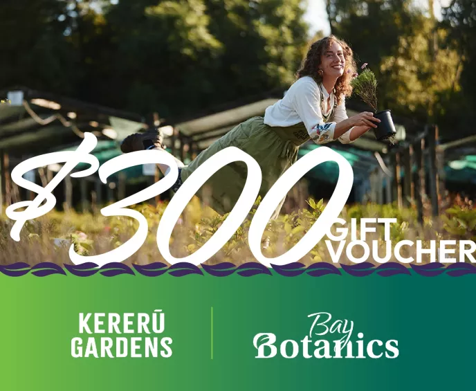 $300 Gift Voucher