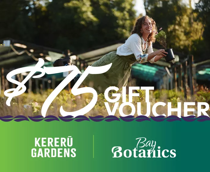 $75 Gift Voucher