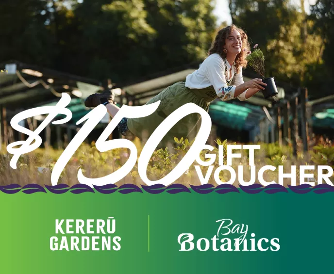 $150 Gift Voucher