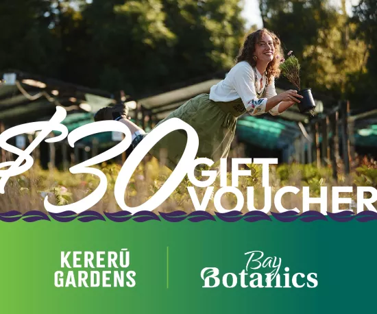 $30 Gift Voucher