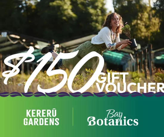 $150 Gift Voucher